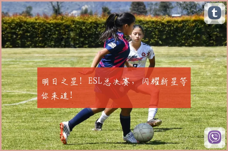 明日之星!ESL总决赛,闪耀新星等你来追!