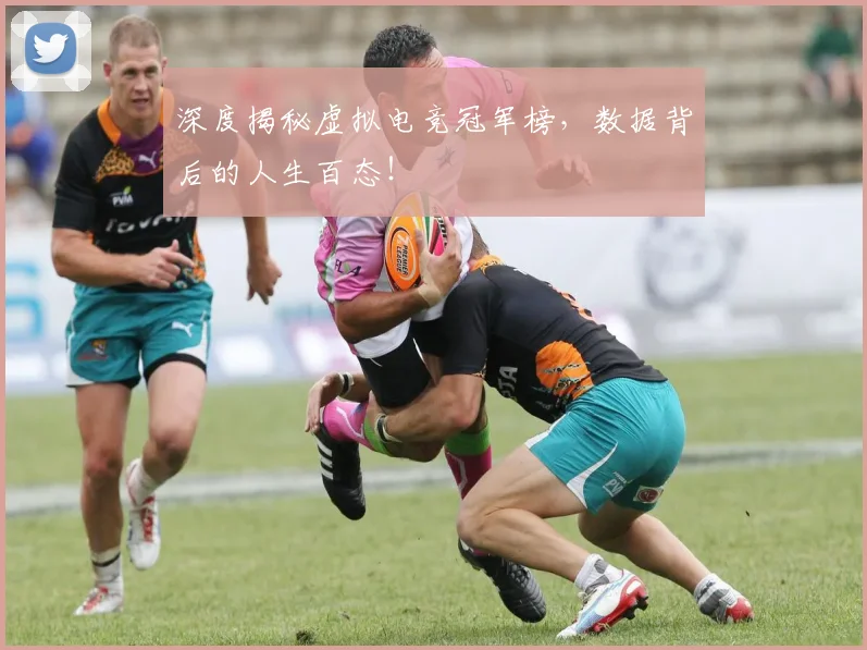 深度揭秘虚拟电竞冠军榜,数据背后的人生百态!